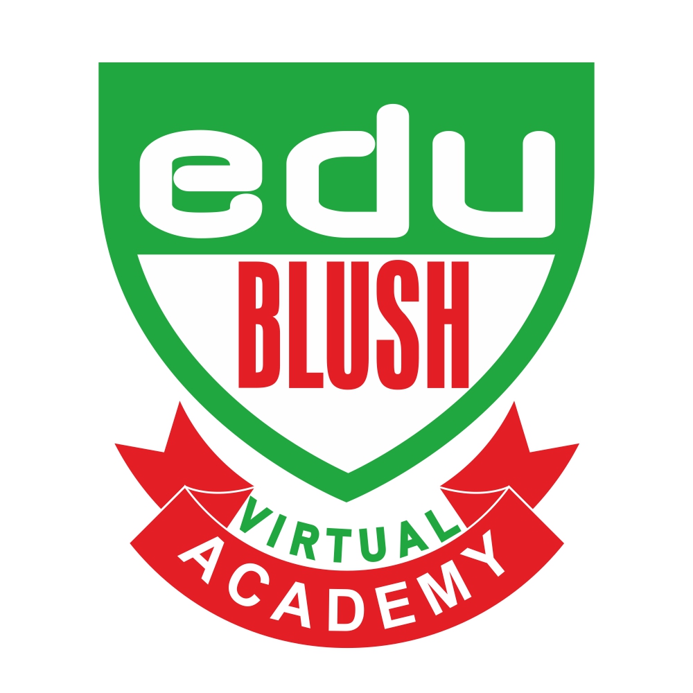 Edublush Virtual Academy